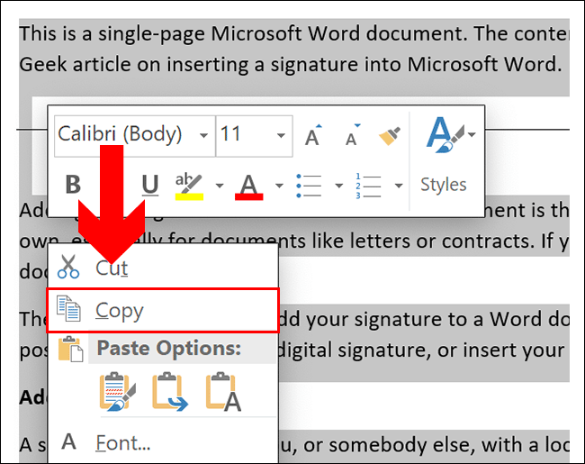 mac microsoft word look for duplictaes